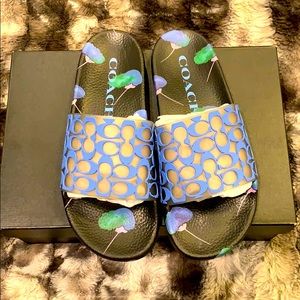 Coach Udele Sport slide